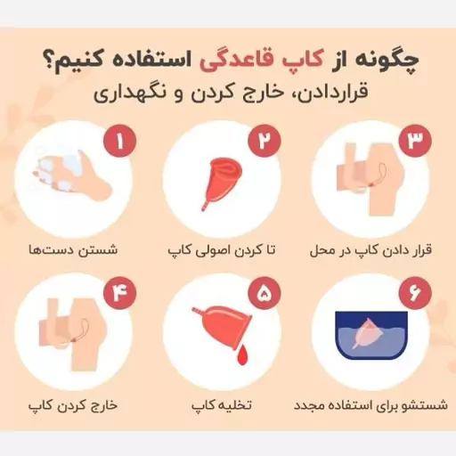 لاویا کاپ قاعدگی لاویا رنگی  مدیوم(ک24ب6)