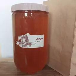 عسل طبیعی چند گیاه تابستانه (سه کیلویی)