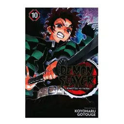 DEMON SLAYER vol 10