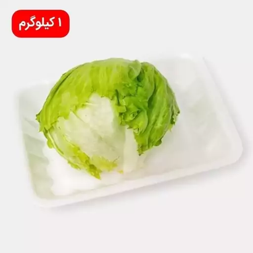 کاهو پیچ تازه 1 کیلوگرم ± 50gr