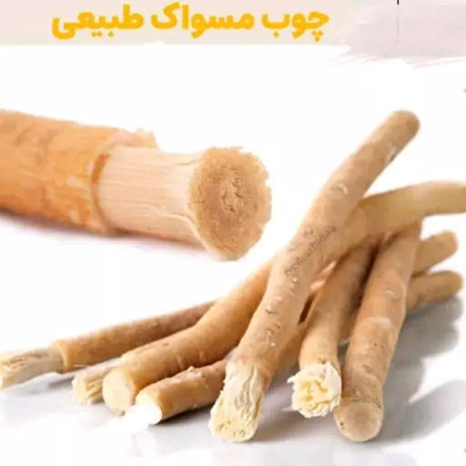 چوب مسواک طبیعی اراک (10 سانتی) عمده پک ده عددی