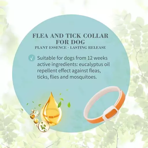 قلاده ضد کک و کنه سگ لیمویی بایولاین  Flea and Tick collar for dog Lemon flavour