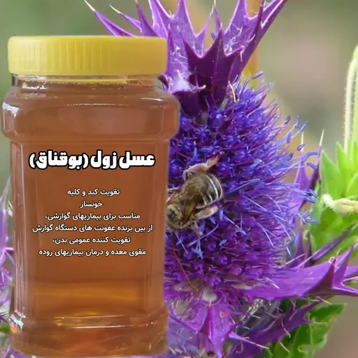 عسل زول (بوقناق) خرید از زنبوردار ارسال رایگان