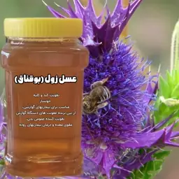 عسل زول (بوقناق) خرید از زنبوردار ارسال رایگان