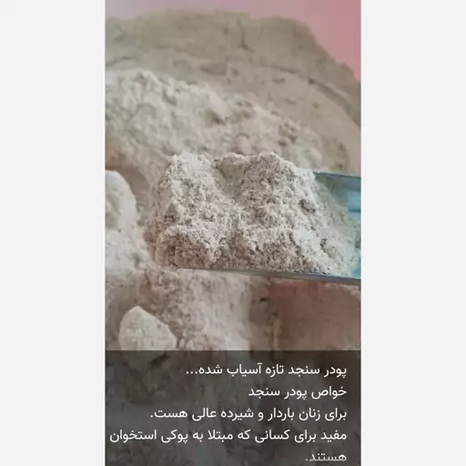 پودر سنجد عنابی