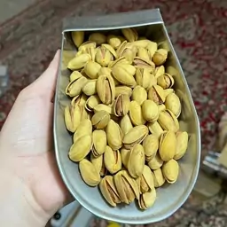 پسته دستچین  اکبری شور زعفرونی  ( 1000 گرمی)