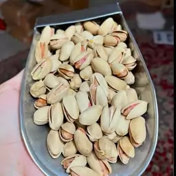 پسته دستچین اکبری خام محصول مهر 403( 1000 گرمی)