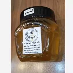 عسل گشنیز 500 گرمی