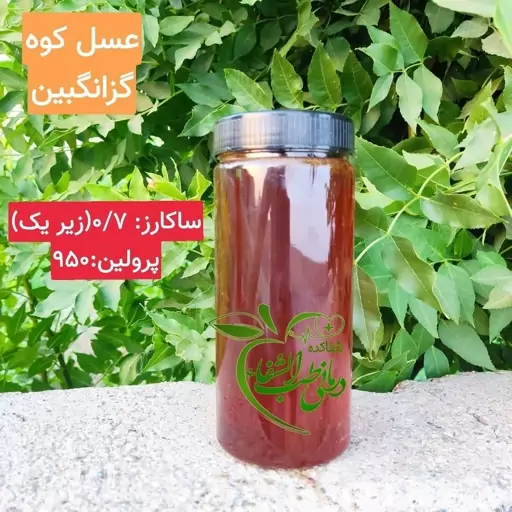 عسل کوه گزانگبین  ، بشرط آزمایش، خرید بالای سه میلیون ارسال رایگان 