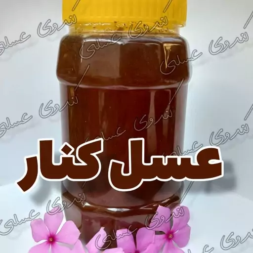 عسل کنار(سدر)