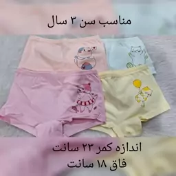 شورت بچگانه عکس گربه بازیگوش 