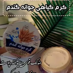 کرم جوانه گندم درخواه