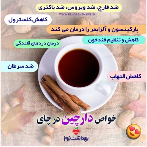 چوب دارچین اعلا گل سرخی 100 گرمی