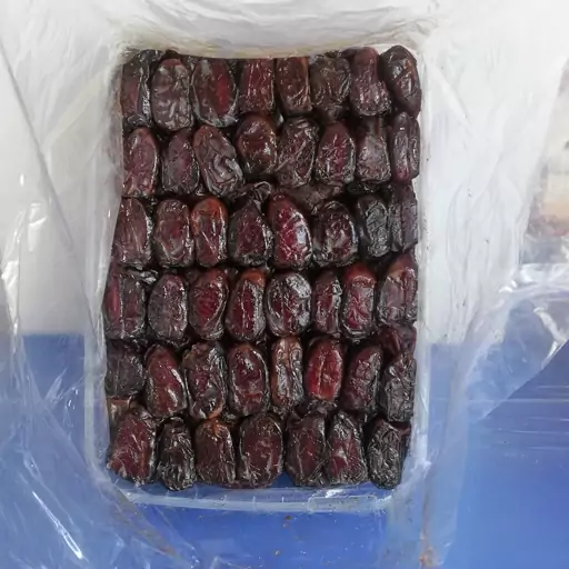 خرما کبکاب بوشهر Kabkab Date