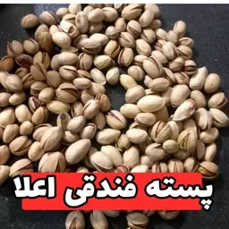 پسته  فندقی امسالی مهر 1403ترد و تازه یک کیلویی 