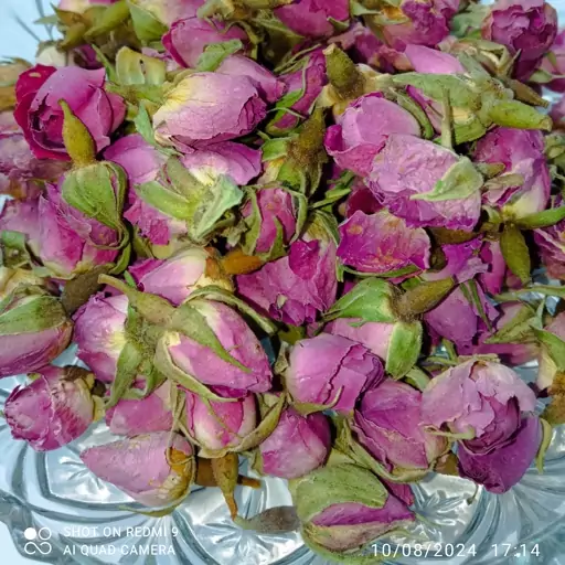 غنچه گل محمدی داراب شیراز اعلاء بسته 50 گرمی(تازه به همراه عطر و بوی به شدت قوی