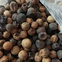 لیمو ترش عمانی تاره خانگی  بسته ای(250گرمی )