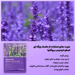 ماسک ورقه ای اسطو خدوس 