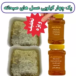 عسل صبحانه کوهیار ( عسل سبلان، عسل چهل گیاه، دو کیلو باموم چهل گیاه) ارسال رایگان