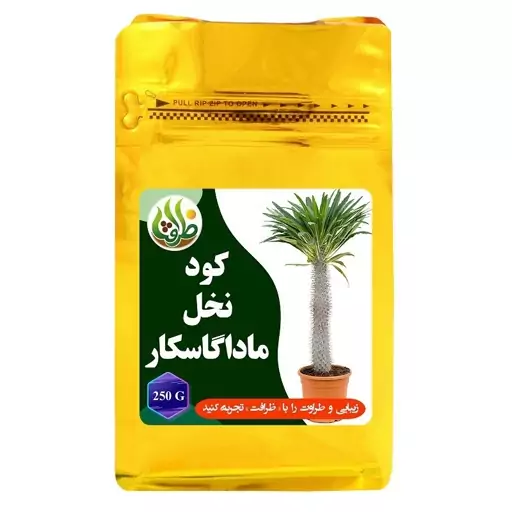 کود نخل ماداگاسکار ظرافت کد KO21313 وزن 250 گرم