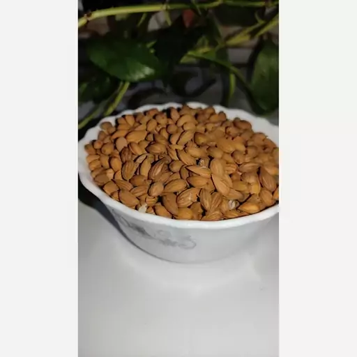 مغز بادام کوهی یا الوک بسته 100گرمی 119تومان 