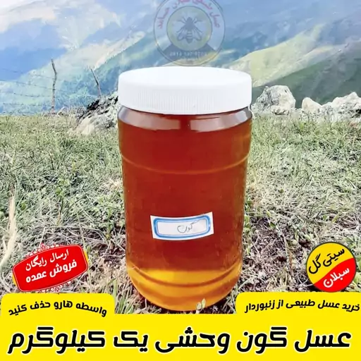 عسل گون در حد وحشی کردستان 1 کیلویی(مستقیم از زنبوردار)ارسال رایگان 