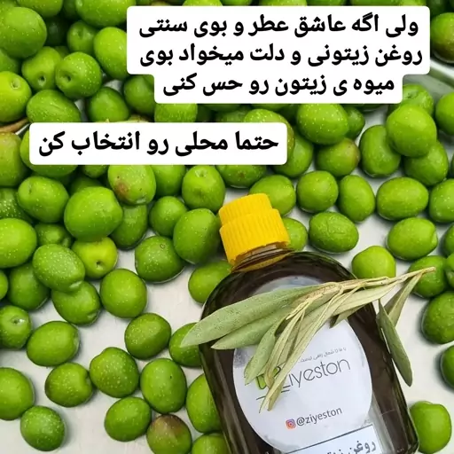 روغن زیتون خالص بودار امساله