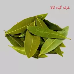 برگ بو (سورت شده.فوق ممتاز.ضد میکروبی شده)100گرمی