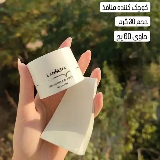 چسب بینی کاسه ای لانبنا 