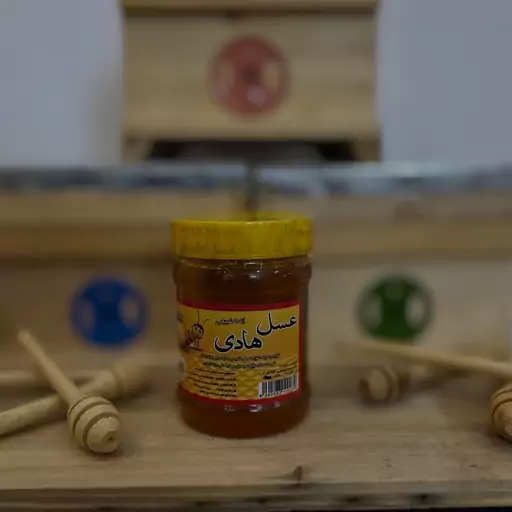 عسل طبیعی کنار(سدر)500گرمی