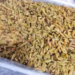 کشمش سبز آفتابی (یک کیلویی)