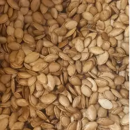 کدو گوشتی 2 آتیشه خارجی(500گرمی)