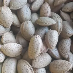 بادام سنگی ایرانی(500 گرمی)