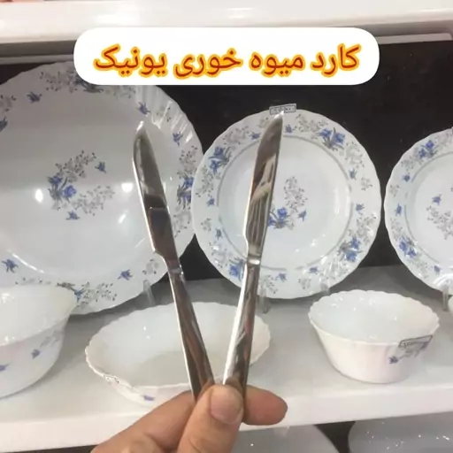 کارد میوه خوری چاقو میوه خوری کاردمیوه خوری چاقومیوه خوری در ارزان پلاسکو خورشید شب 