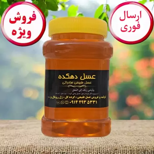 عسل گون  آویشن یک کیلویی(ارسال فوری)(مستقیم از زنبوردار)