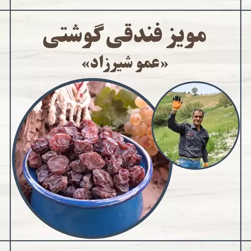 مویز فندقی گوشتی (یک کیلو)