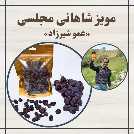 مویز شاهانی مجلسی (یک کیلو)