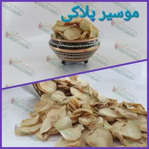 موسیر پلاکی بسته 100 گرمی 