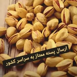 پسته ممتاز امسالی انس 28