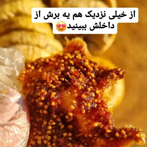 انجیر خشک امساله با بافت نرم و پر شیره و پر دون