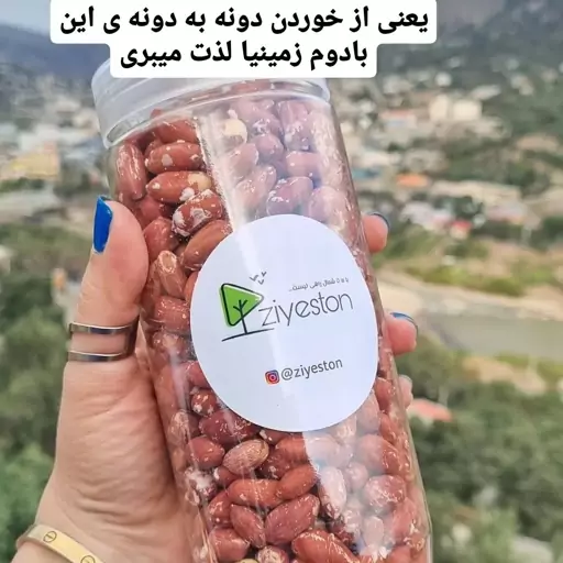 بادام زمینی مرغوب آستانه