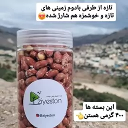 بادام زمینی مرغوب آستانه