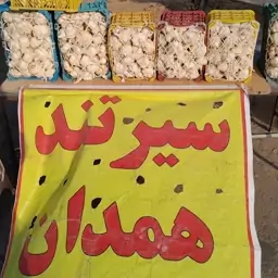 سیر تند همدان