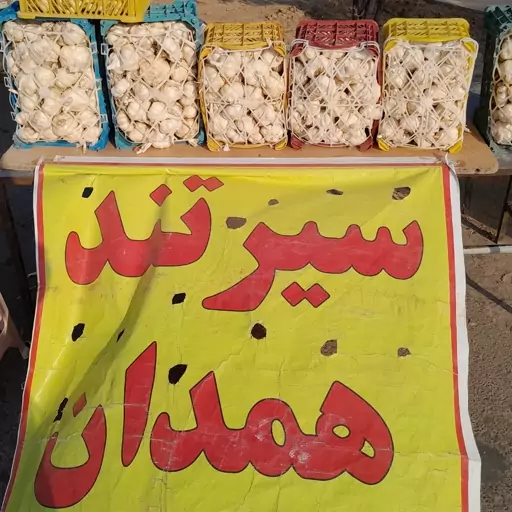 سیر تند همدان