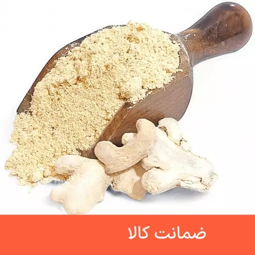 پودر زنجبیل درجه یک 100 گرمی