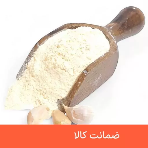 پودر سیر درجه یک 100 گرمی