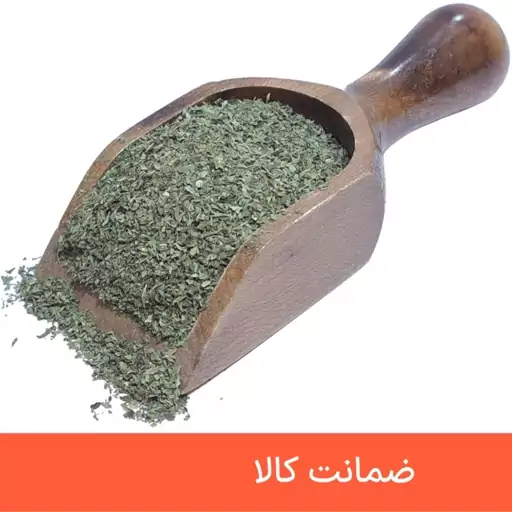 نعنا خشک درجه یک 100 گرمی