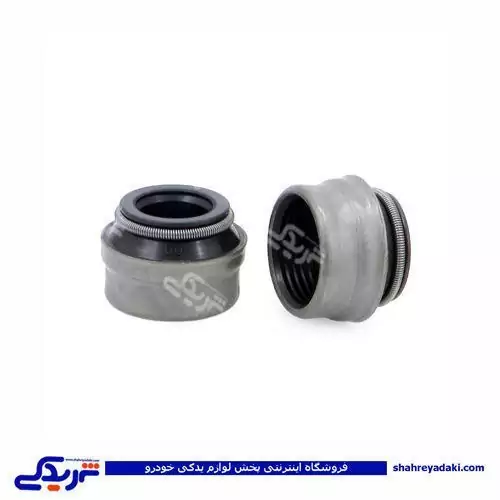 لاستیک سوپاپ پژو  405  (دست 8 عددی) ویژن - (هزینه ارسال با مشتری)