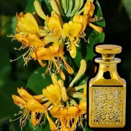 عطر گل یاس (1 گرم)