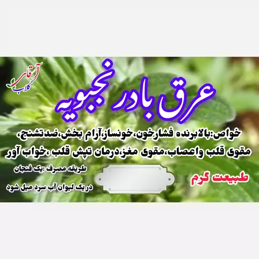 عرق بادرنجبویه سنتی محصولی از آقای گلاب